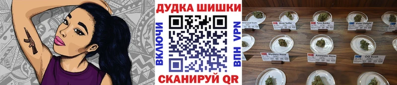 Галлюциногенные грибы Александровское