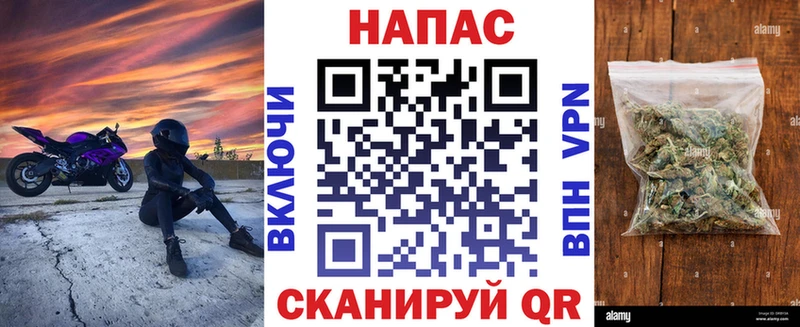 купить наркотики сайты  Александровское  Канабис план 